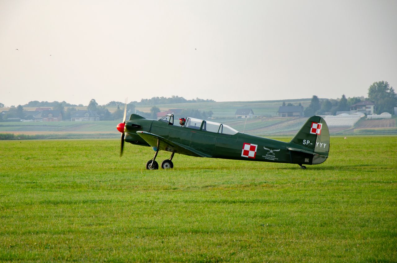 Green vintage military aircraft with propeller on a grass airfield.